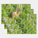 Recherche de marmotte papier cadeau Nature