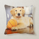 Recherche de basket coussins Mignon