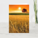 Recherche de non vœux cartes Photographie