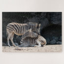 Zoek naar zebras puzzels Strepen