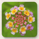 Zoek naar indonesië onderzetters Bloem