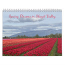 Recherche de washington bureau fournitures Fleurs