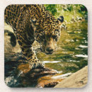 Recherche de animal sauvage dessous de verres Nature