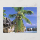 Recherche de îles seychelles cartes postales Plage