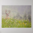 Recherche de deer posters Mammifère