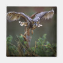 Zoek naar vliegende vogel magneten Uil