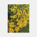 Recherche de gisement de fleur Tournesols