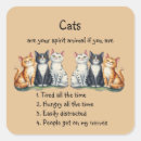Zoek naar katten humor stickers Dier
