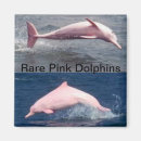 Recherche de rare magnets Bleu