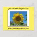 Recherche de tournesol jaune cartes postales Fleurs