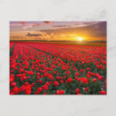 Recherche de jardin botanique cartes postales Printemps