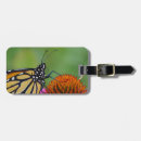 Recherche de voyage de papillon Faune