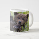 Recherche de ourson tasses Faune