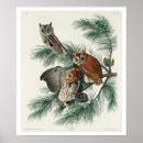 Recherche de audubon posters Oiseau