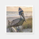 Recherche de pélican serviettes Oiseau