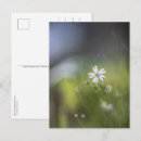 Recherche de naturelle cartes postales Botanique