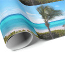 Recherche de arbre tropical papier cadeau Palmier