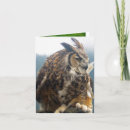 Zoek naar gehoornde uil kaarten Vogels
