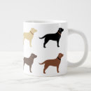 Recherche de labradors tasses Labrador retriever