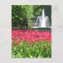 Recherche de arbre tulipe cartes postales Arbres