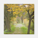 Zoek naar rijnland magneten Herfst
