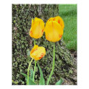Zoek naar gele tulpen posters Geel