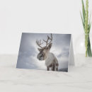 Recherche de rudolph vœux cartes Animal