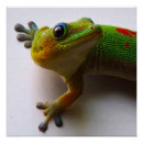 Recherche de geckos posters Gecko vert