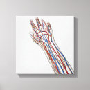 Recherche de immunologie posters Doigt