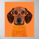 Recherche de canine art Animaux domestiques