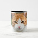 Recherche de beau chat tasses Mignon