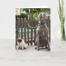 Recherche de great dane vœux cartes Animal