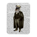 Recherche de schnauzer magnete Animaux