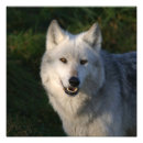 Recherche de séduisant posters Beau