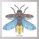 Recherche de lucioles posters Pour tous
