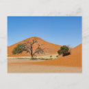 Recherche de la namibie cartes postales Sossusvlei