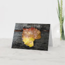 Zoek naar dek kaarten Eenvoudig