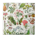 Zoek naar illustraties tegels Bloem