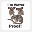 Recherche de opossum drôle autocollants Animal