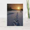 Zoek naar sunrises Natuur