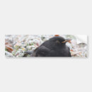Recherche de oiseau noir voiture autocollants Animal