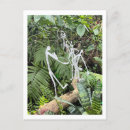 Recherche de figures cartes postales Photographie