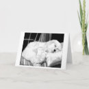 Zoek naar dog portrait kaarten Hond