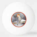 Zoek naar sneeuw pingpongballen Winter