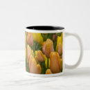 Recherche de keukenhof tasses Fleur