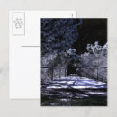 Recherche de starry sky cartes postales Night