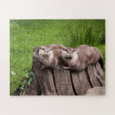 Recherche de otter puzzles Animaux