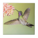Recherche de colibri carreaux Fleur
