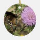Recherche de papillon rose ornements Vert