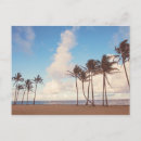 Recherche de kauai cartes postales Palmiers